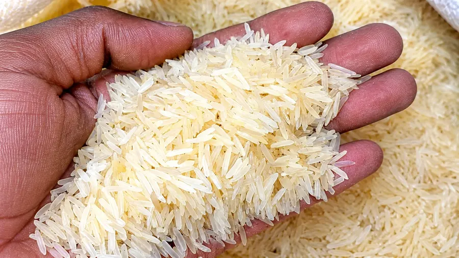 Premium export-grade rice — sourced, sortexed and graded